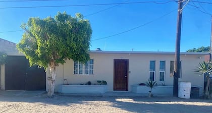 House whales 🐳🐋🐳