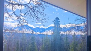 Vista de montañas nevadas a través de una ventana, con un bosque en primer plano.