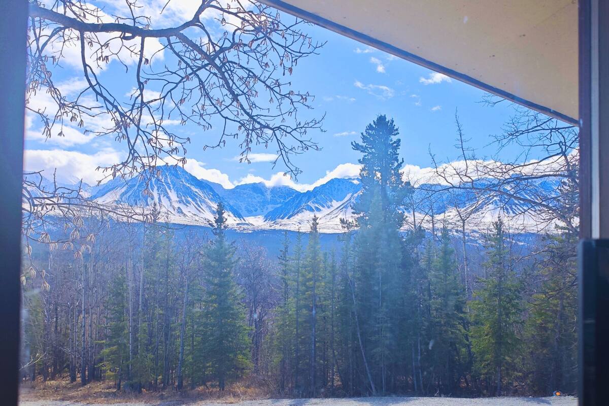 A view of snow-capped mountains through a window, with a forest in the foreground.