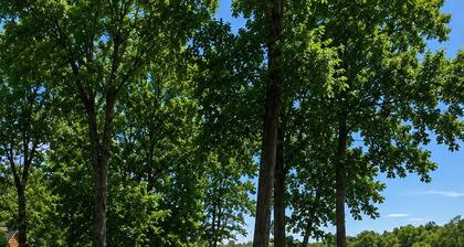 Stunning Cabin on Crooked Lake, MN