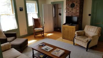 Televisión, chimenea, videojuegos y reproductor de DVD