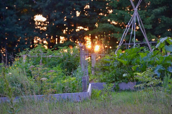 Property grounds - 19th-century farmhouse with views, near trails, lakes, skiing and so much more! (West Glover)