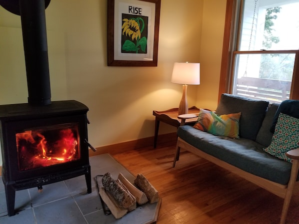 TV, fireplace, video games, DVD player