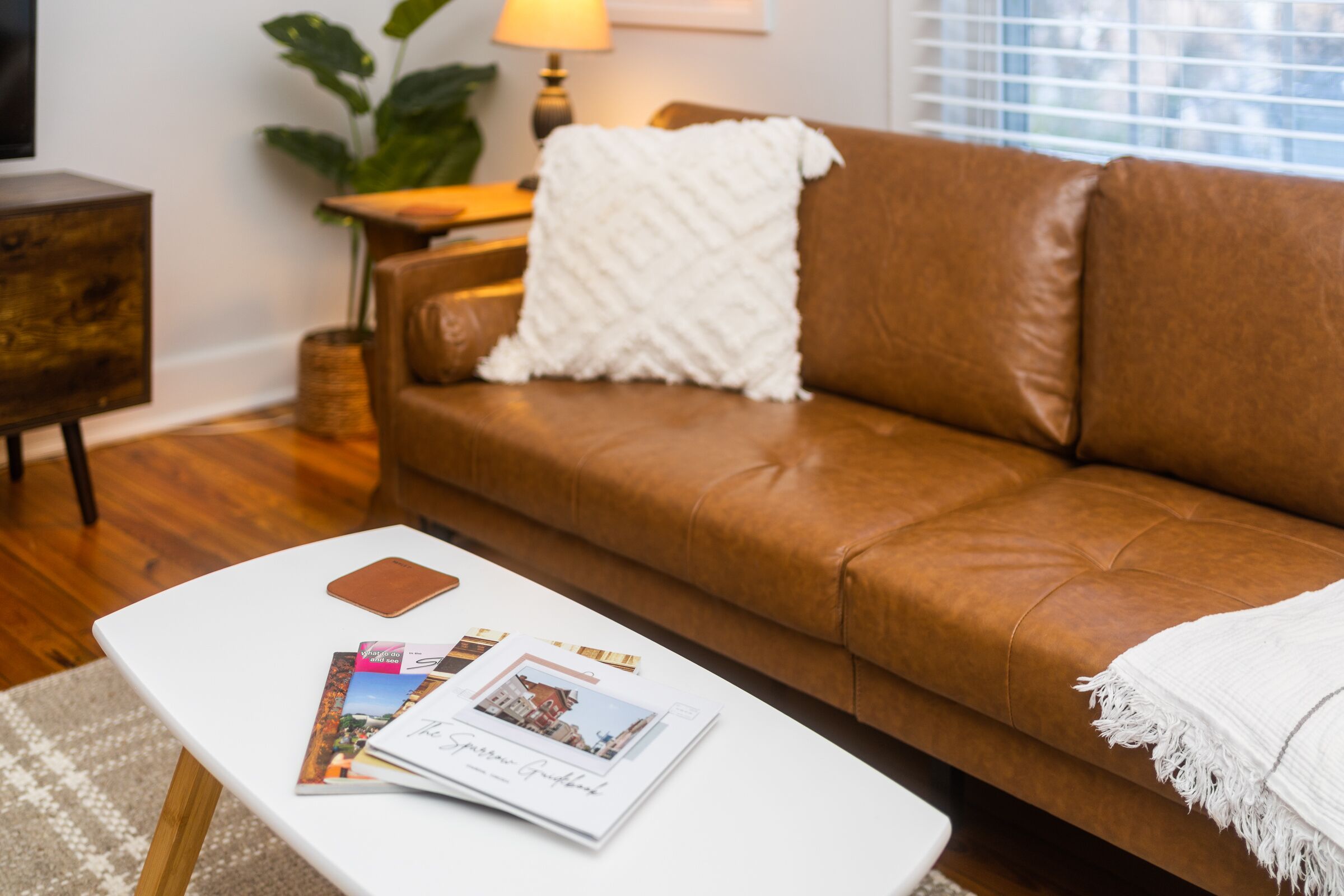 TV connectée, cheminée, livres