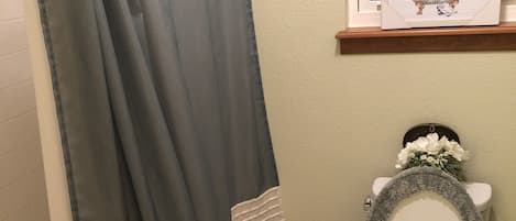Combined shower/tub