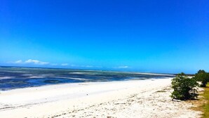 Una playa con cielos azules despejados y aguas tranquilas.
