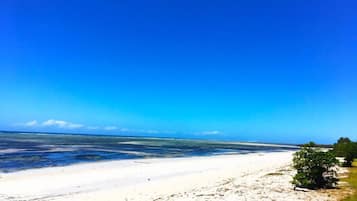 On the beach, white sand