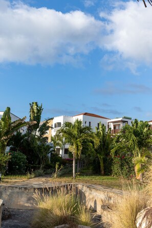 Garden view