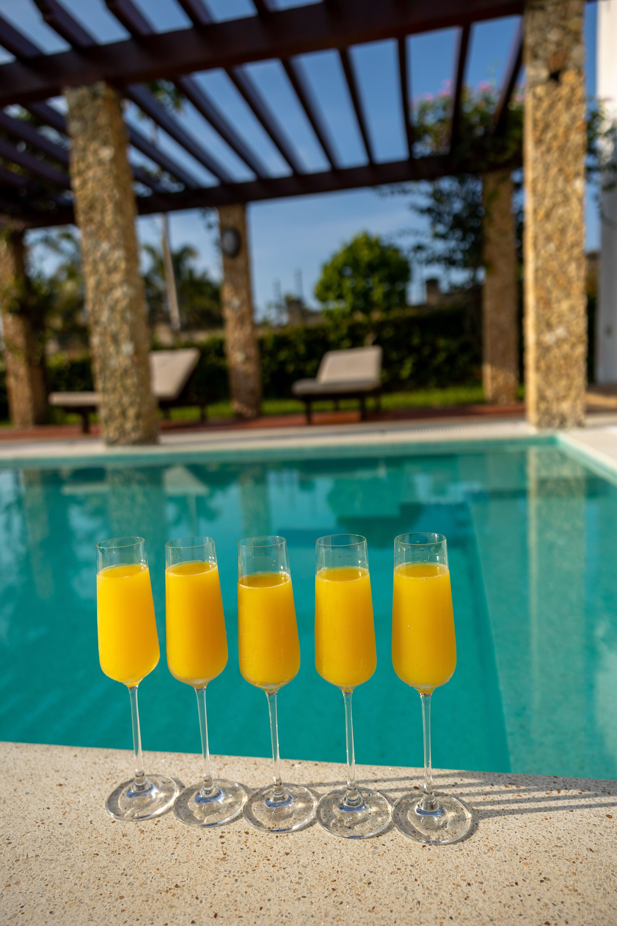 Un área junto a la piscina con vista despejada, una pérgola y una fila de vasos vacíos en el borde de la piscina.