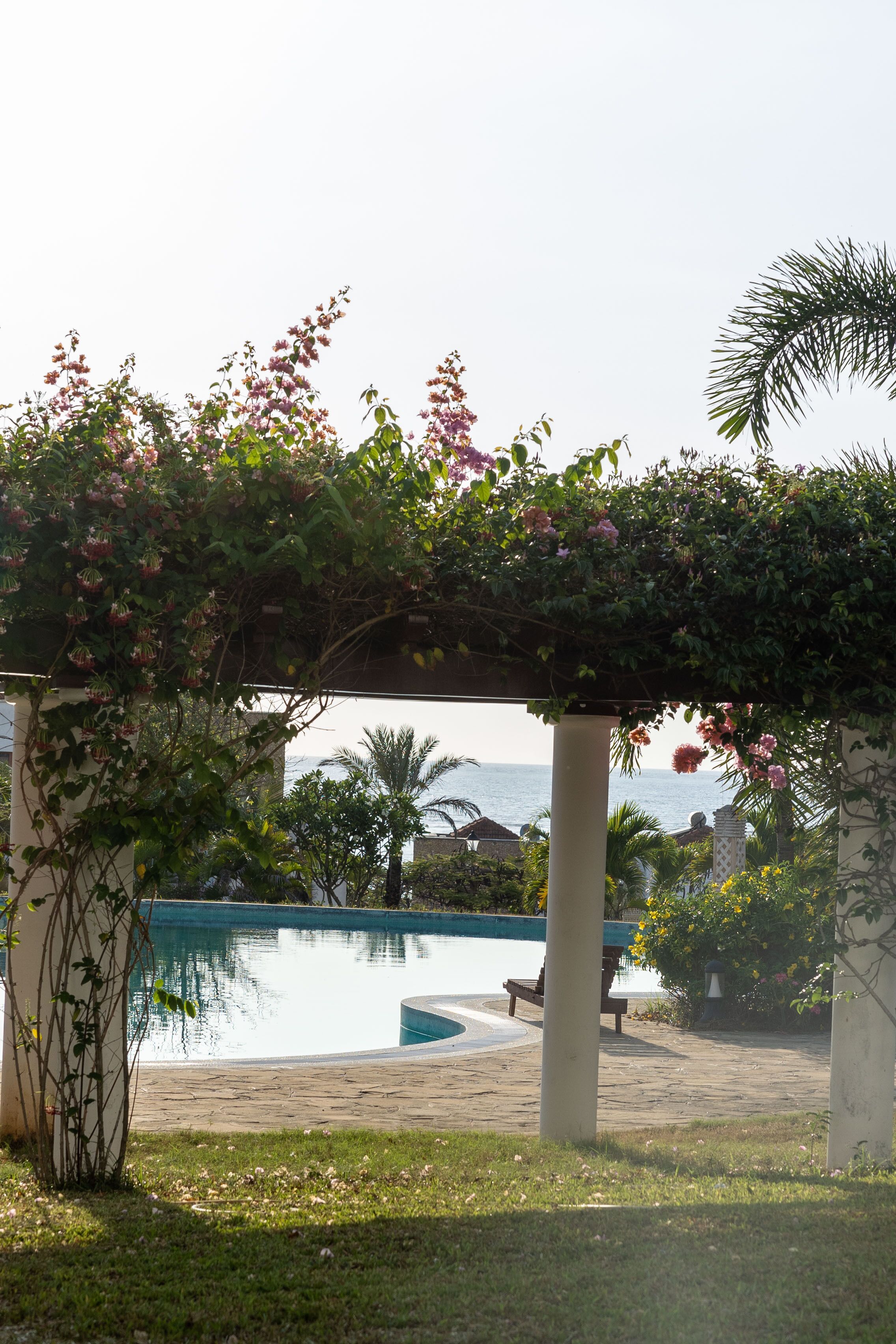 A pool area with a pergola covered in flowering vines, a bench, and a view of the sea.