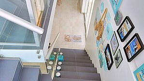 A staircase with grey steps, glass railings, and a wall decorated with framed pictures and a potted plant.
