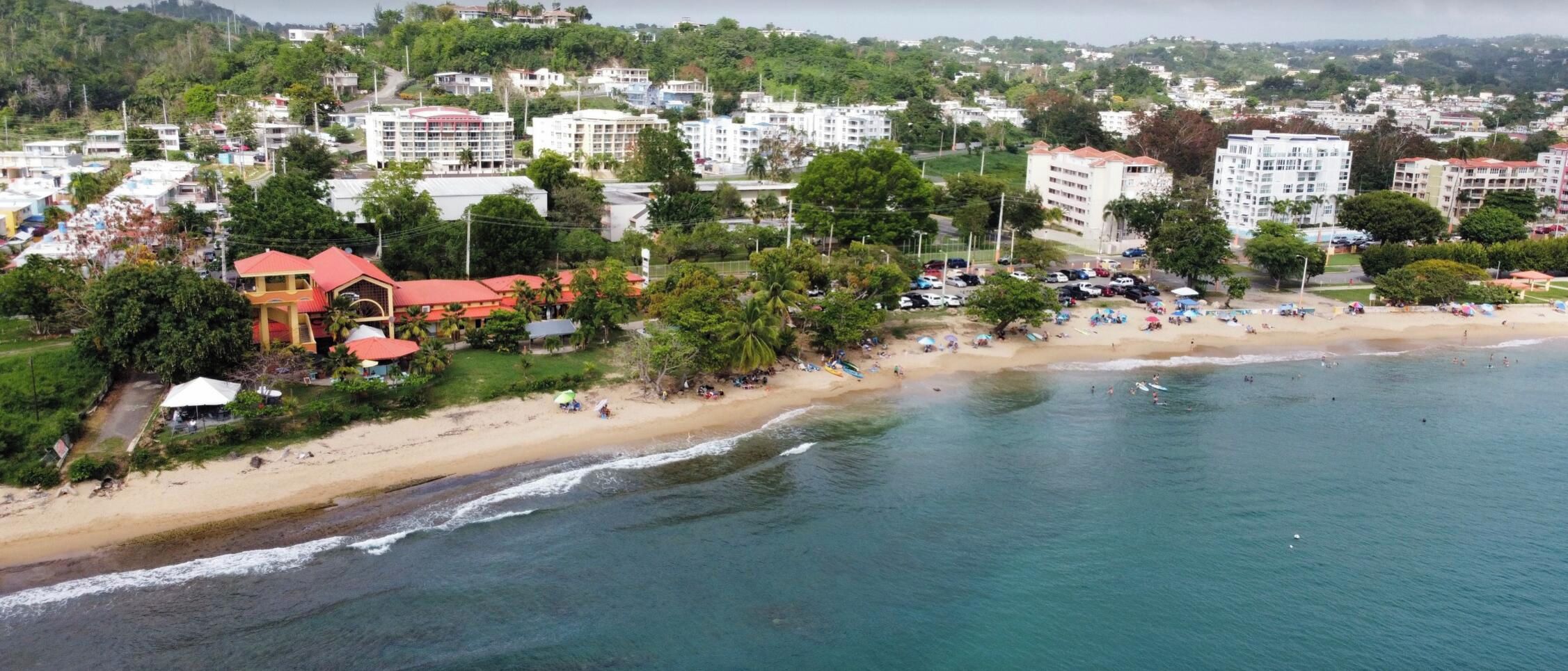 An aerial view of a coastal town with a beach, buildings, and greenery.