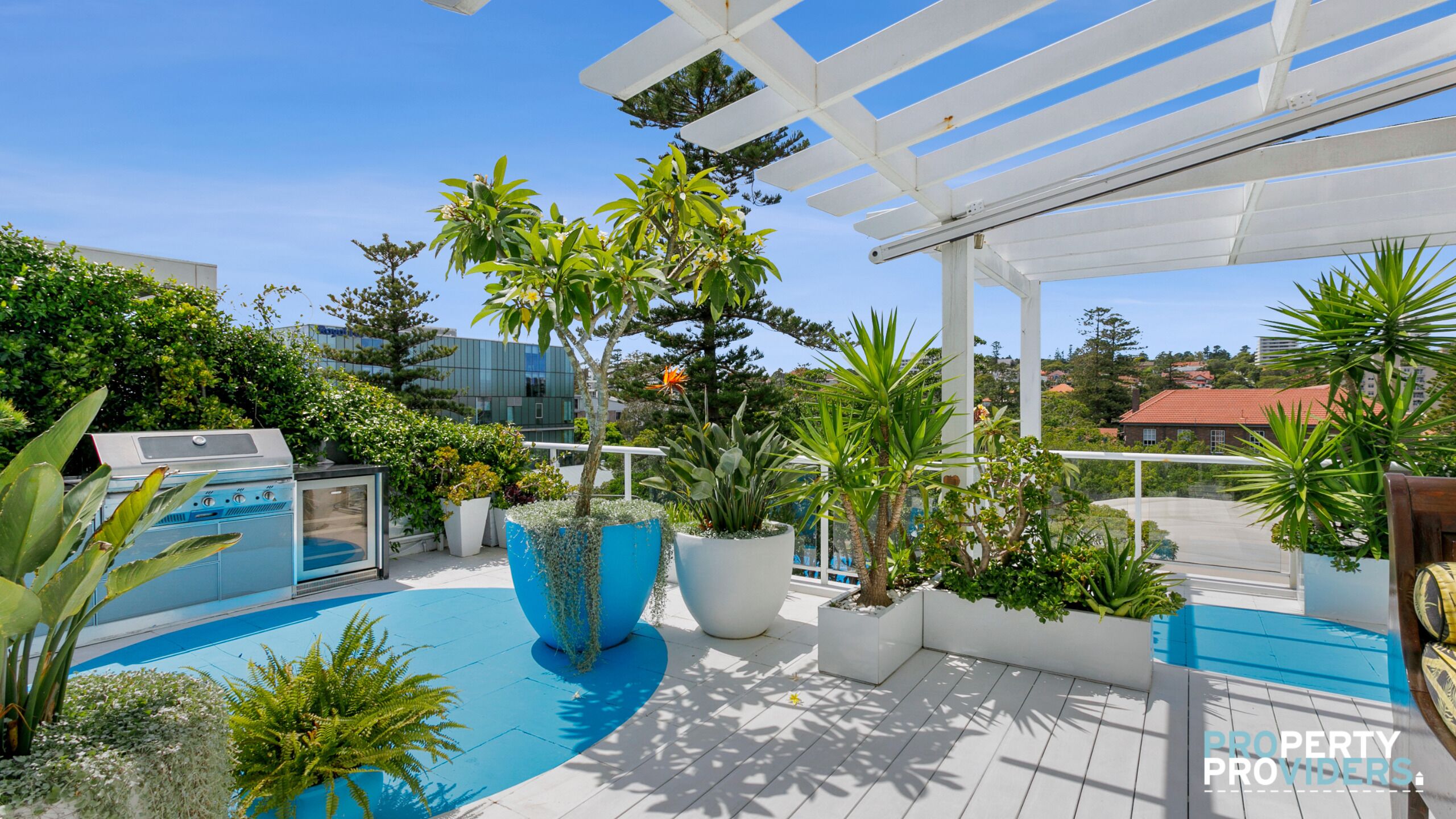 The Big Blue Manly Corso