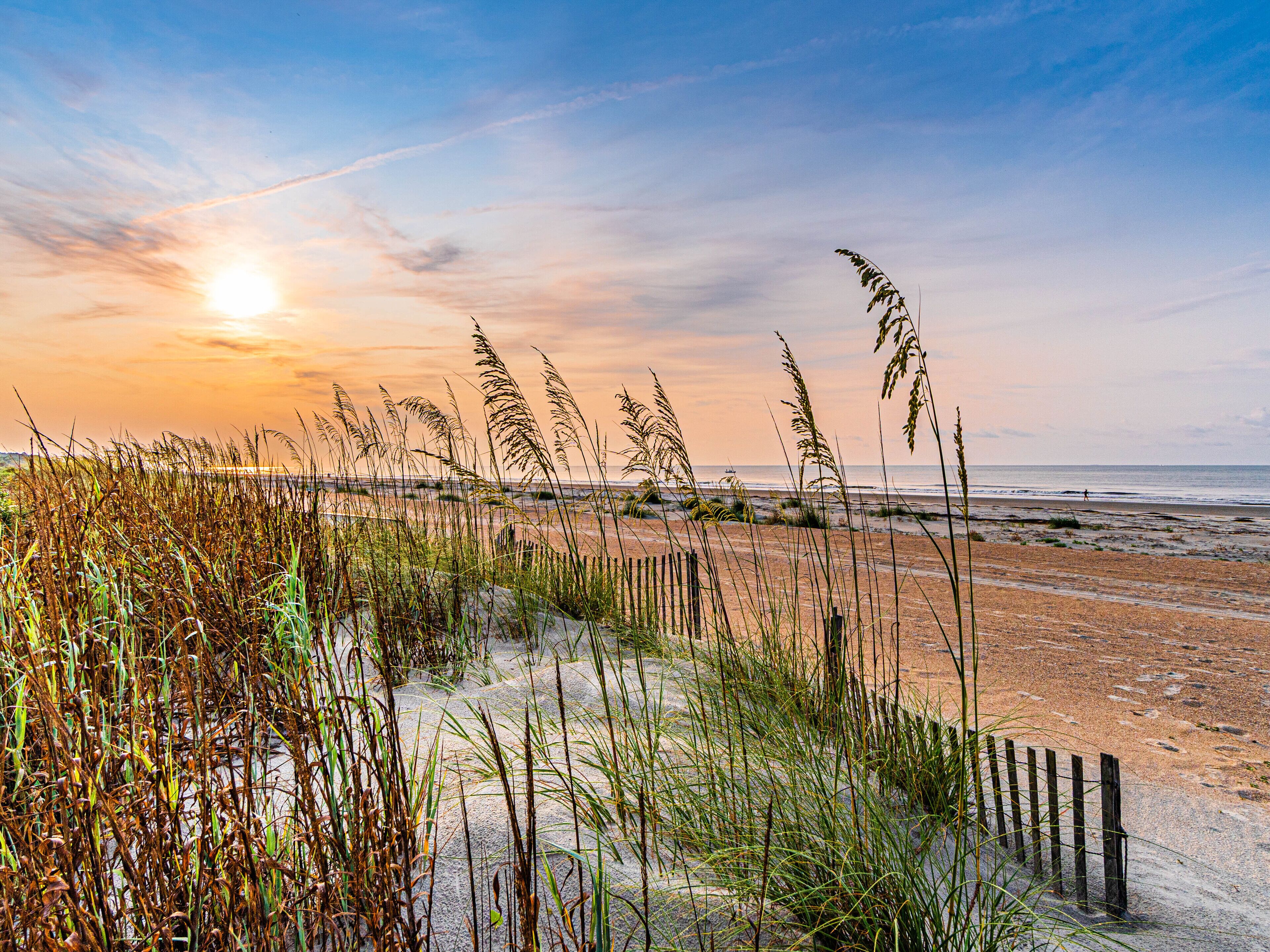 A beach with tall grasses and a wooden fence.