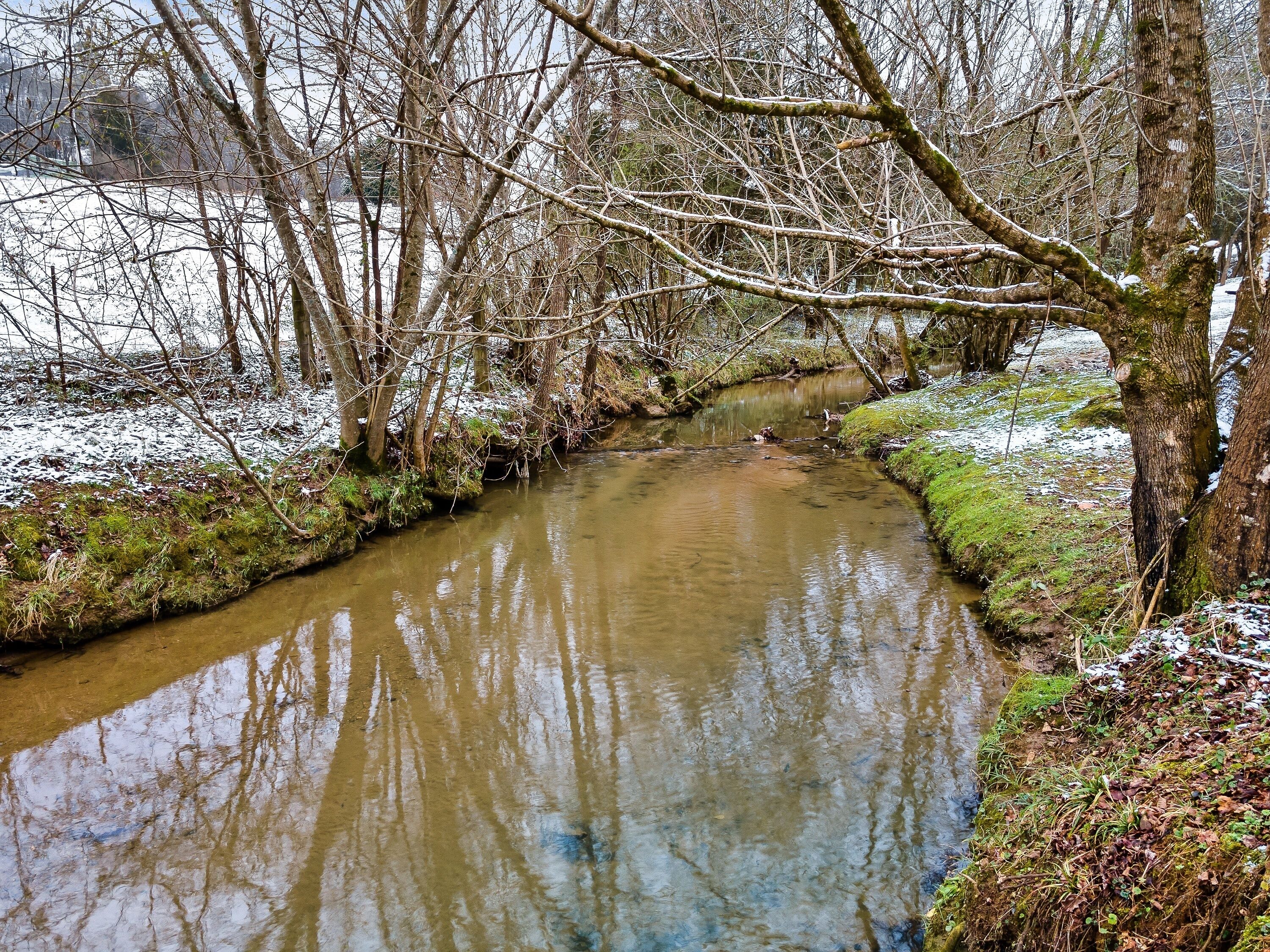 A narrow, muddy stream surrounded by leafless trees and patches of snow, reflecting the sky.