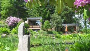 Una casa moderna con fachada de piedra, rodeada de exuberante follaje y plantas florecientes.