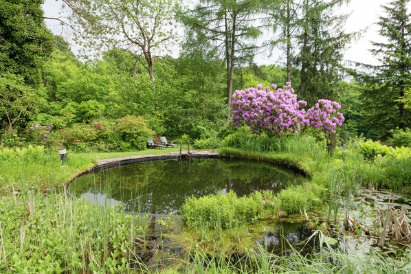 Boendeområde