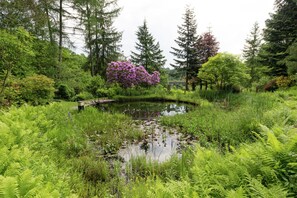Terrain de l’hébergement 