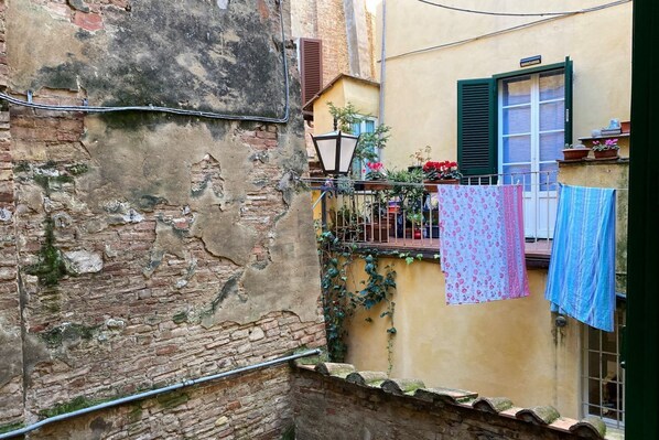 Property grounds - IL MONDO DI CLAIRE-cozy and charm (Siena)