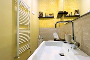 Shower, hair dryer, bidet, towels