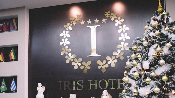 A fireplace with a fire, a Christmas tree, and flags on the wall. - Iris Hotel (Chisinau)