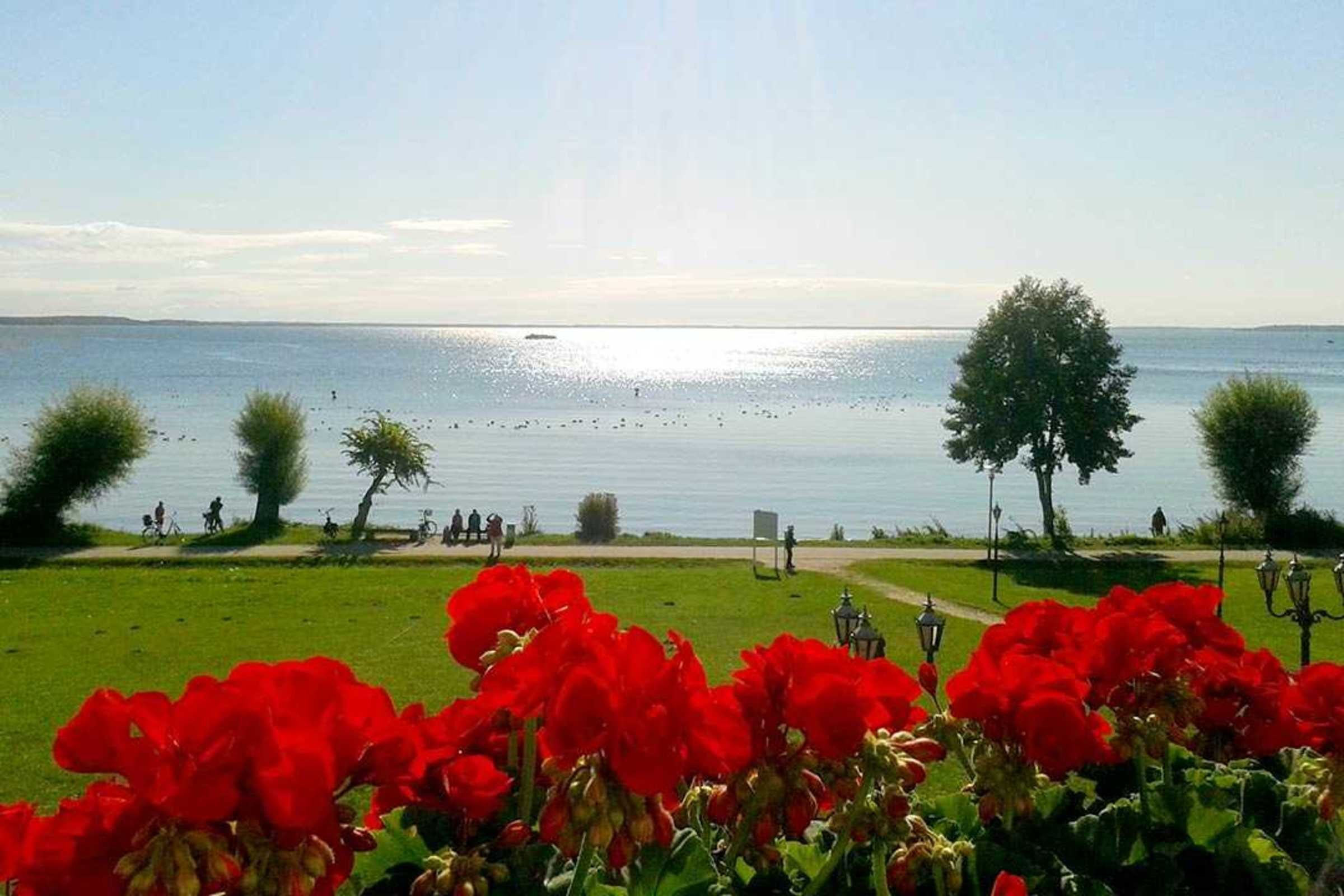 A lakeside view with red flowers in the foreground, a path, and people in the distance.
