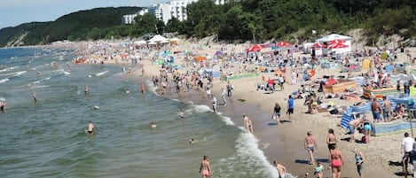 Una spiaggia nelle vicinanze