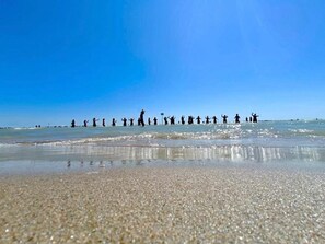 Plage à proximité