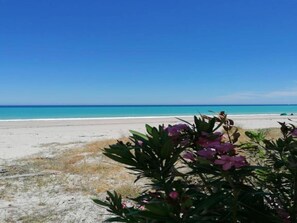 Una spiaggia con acque cristalline, una riva sabbiosa e vegetazione sullo sfondo.