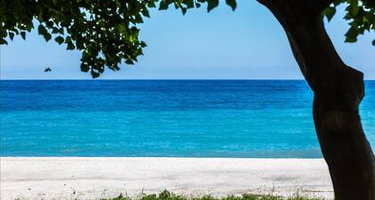 Escapade romantique en bord de mer