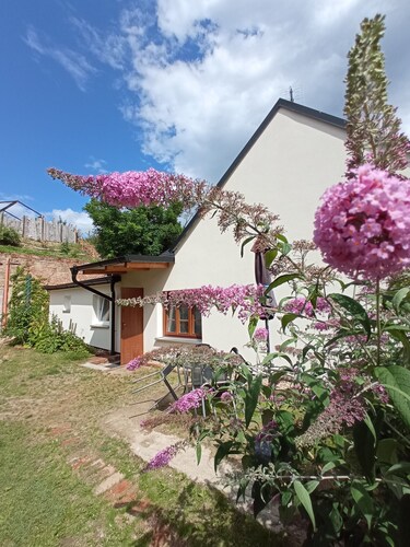 Cute and comfortable private little house with beautiful garden