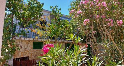 Fig Tree House