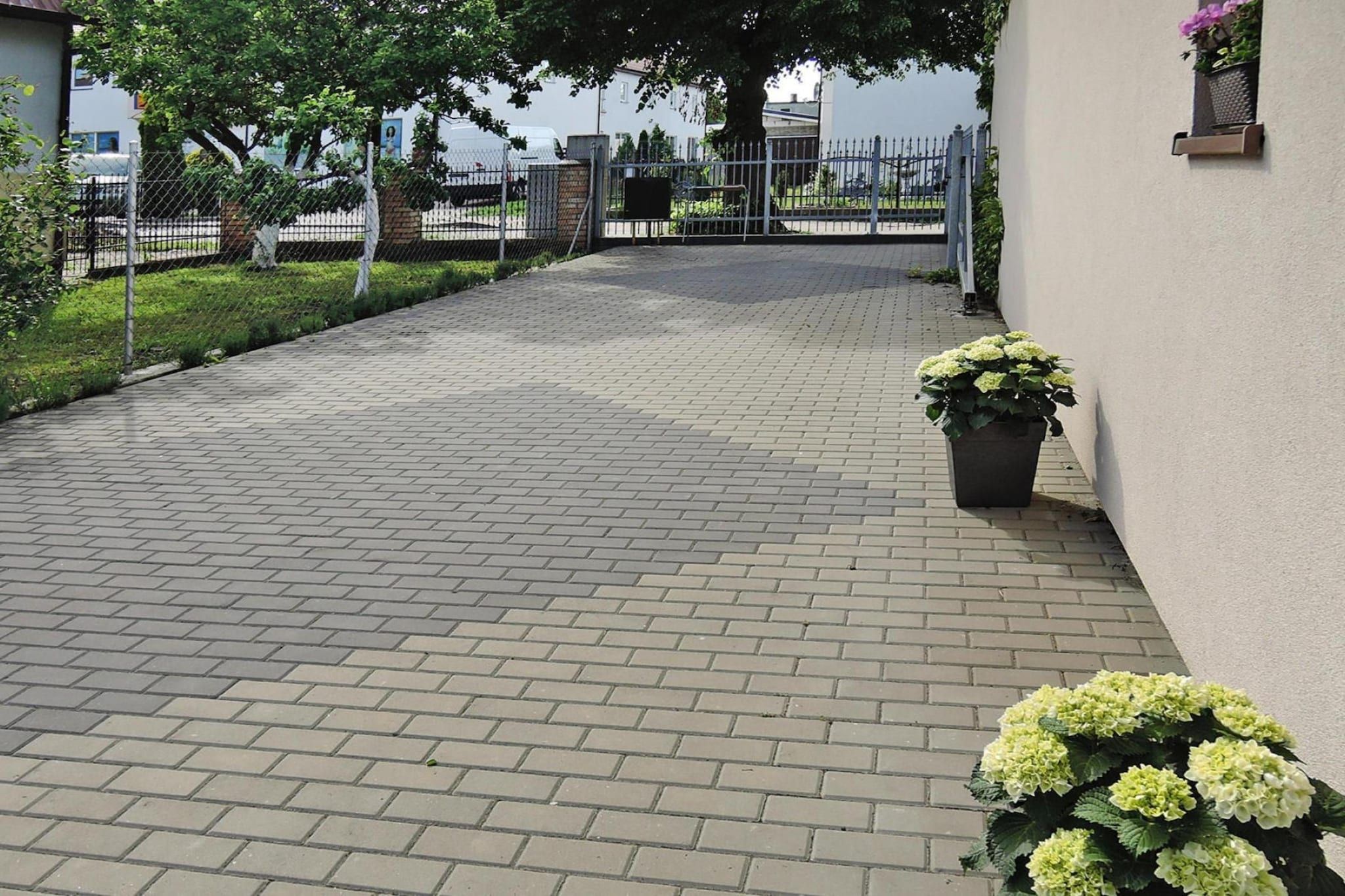 A paved walkway leading to a gated entrance, with a potted plant on the right.