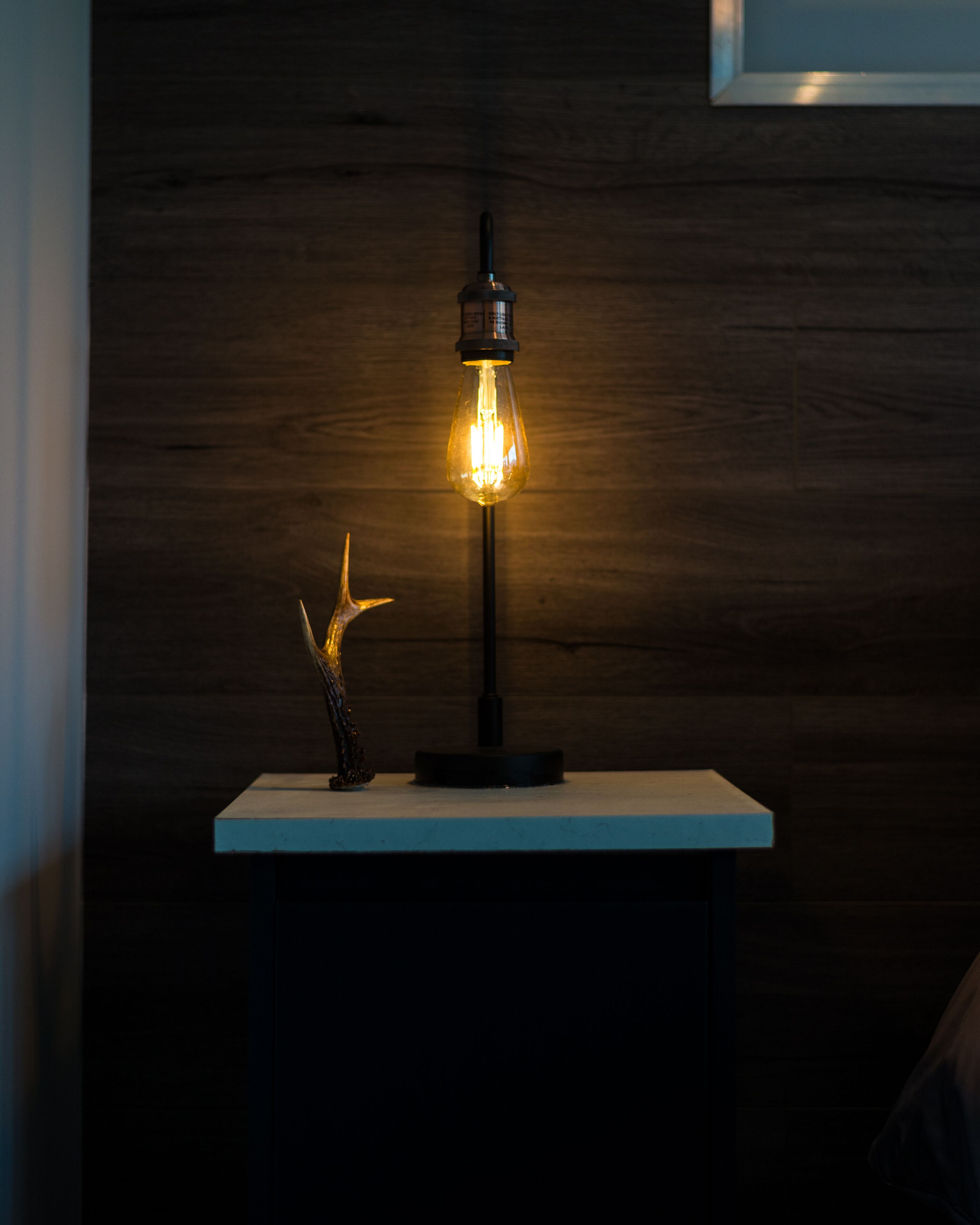A table with a single light bulb on a stand, a decorative branch, and a dark wooden wall in the background.