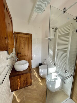 Combined shower/bathtub, hair dryer, bidet, towels