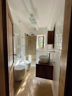 Combined shower/bathtub, hair dryer, bidet, towels