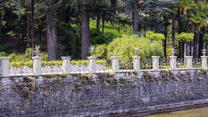 Een rustgevende rivieroever met een stenen muur, weelderige begroeiing en een gebouw op de achtergrond.