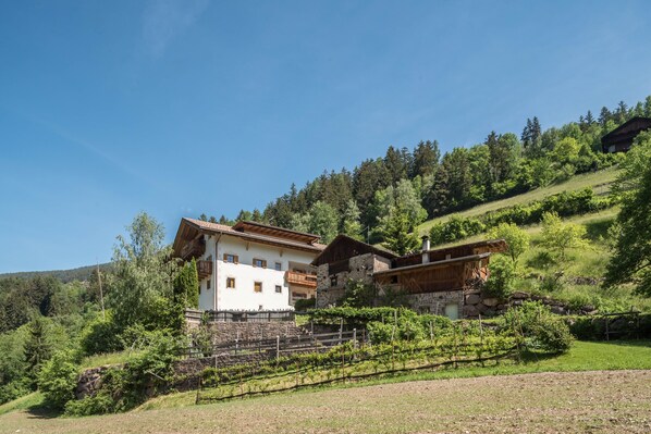 A rural house with a vineyard, surrounded by trees and hills.