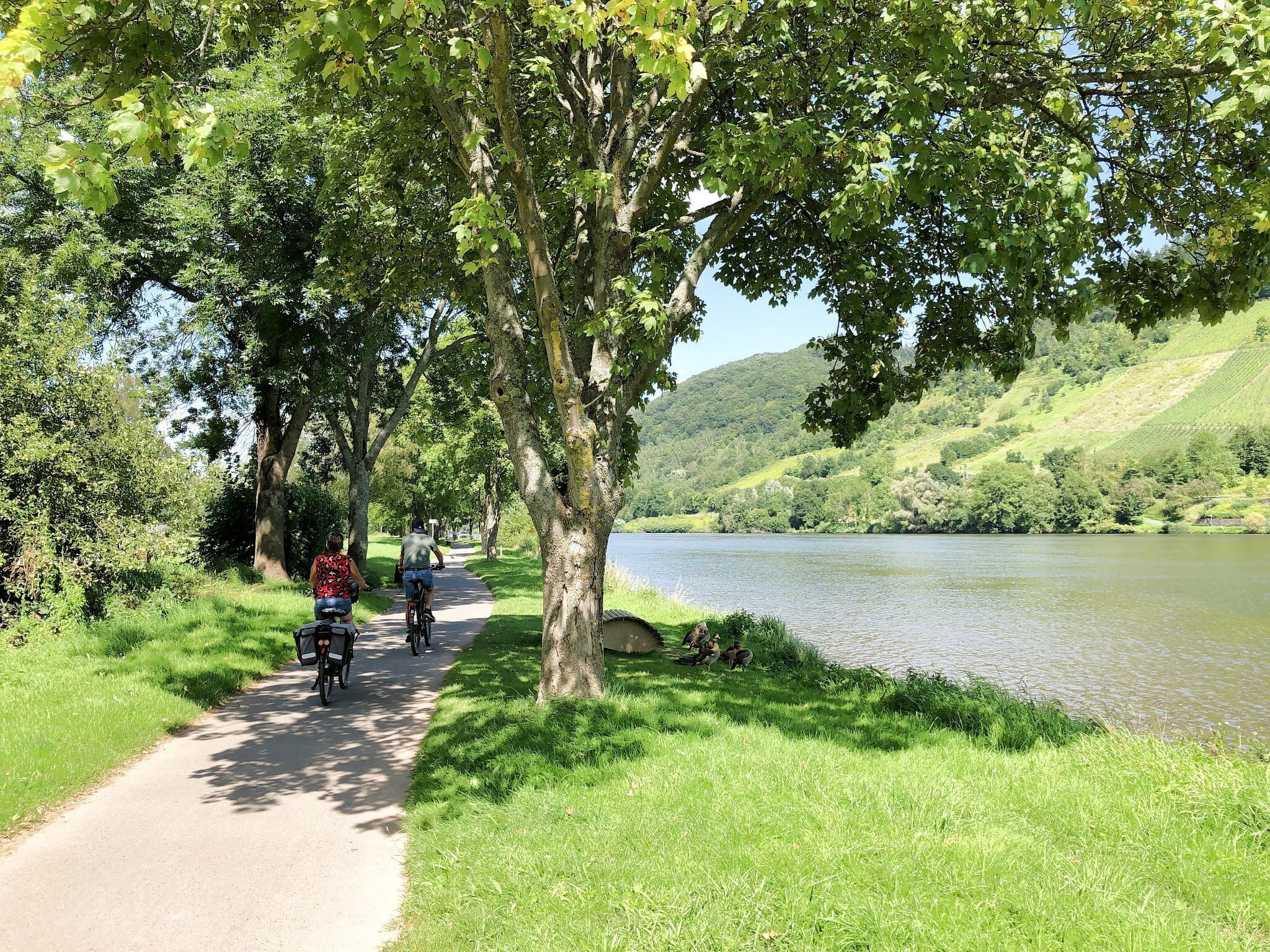 A paved path alongside a lake with trees and grassy banks.