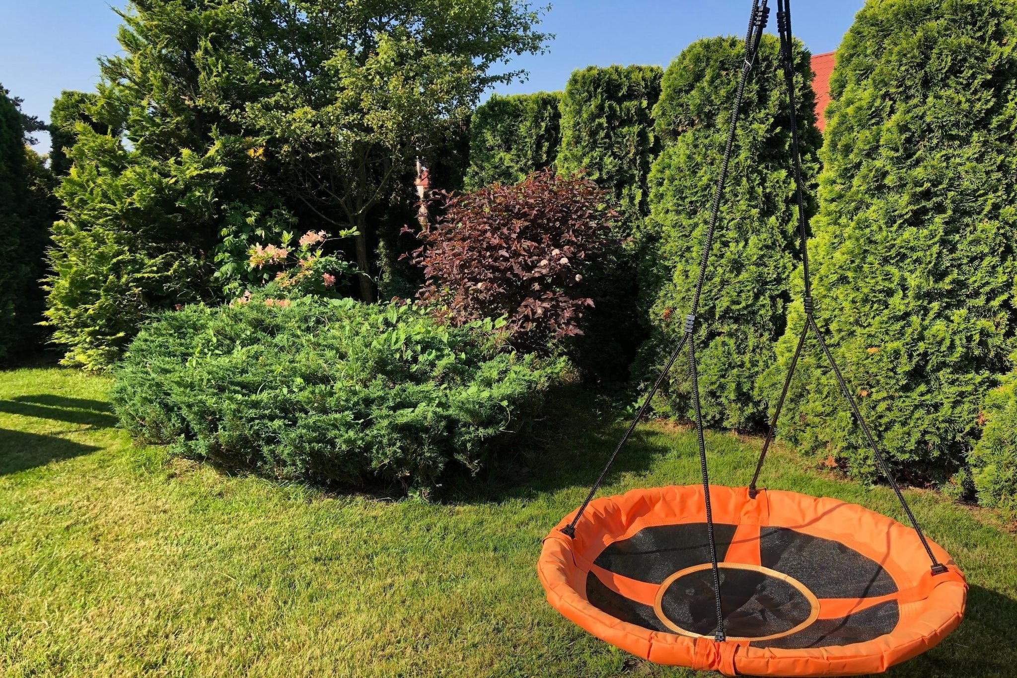Un jardin avec une balançoire et divers arbustes.