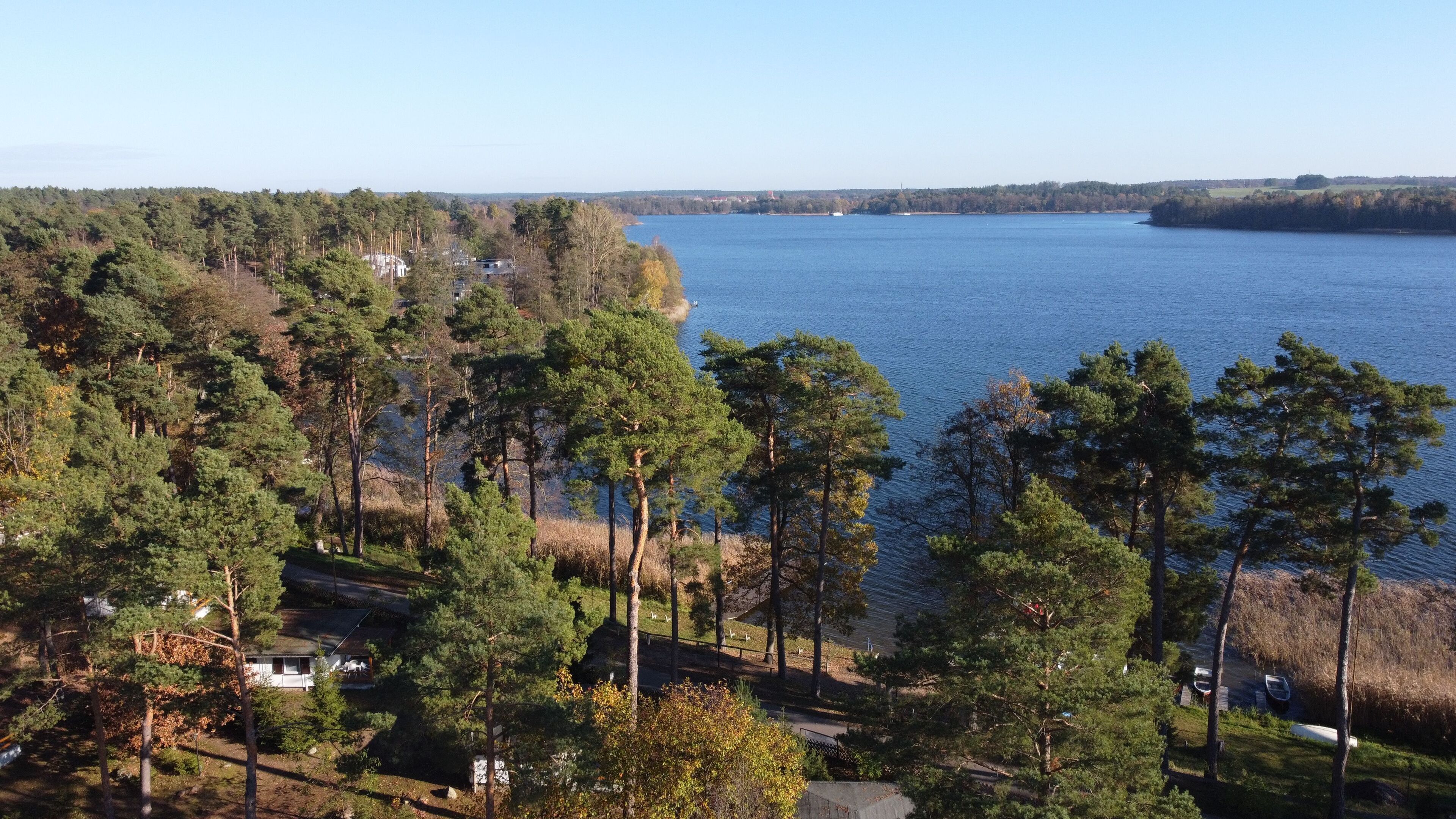 Una propiedad junto al lago, rodeada de densos pinos, con una vista despejada y un pequeño muelle con barcos.