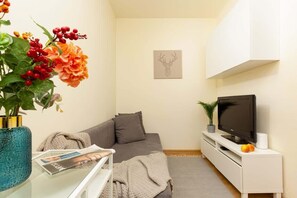 Fernseher