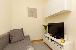 Fernseher