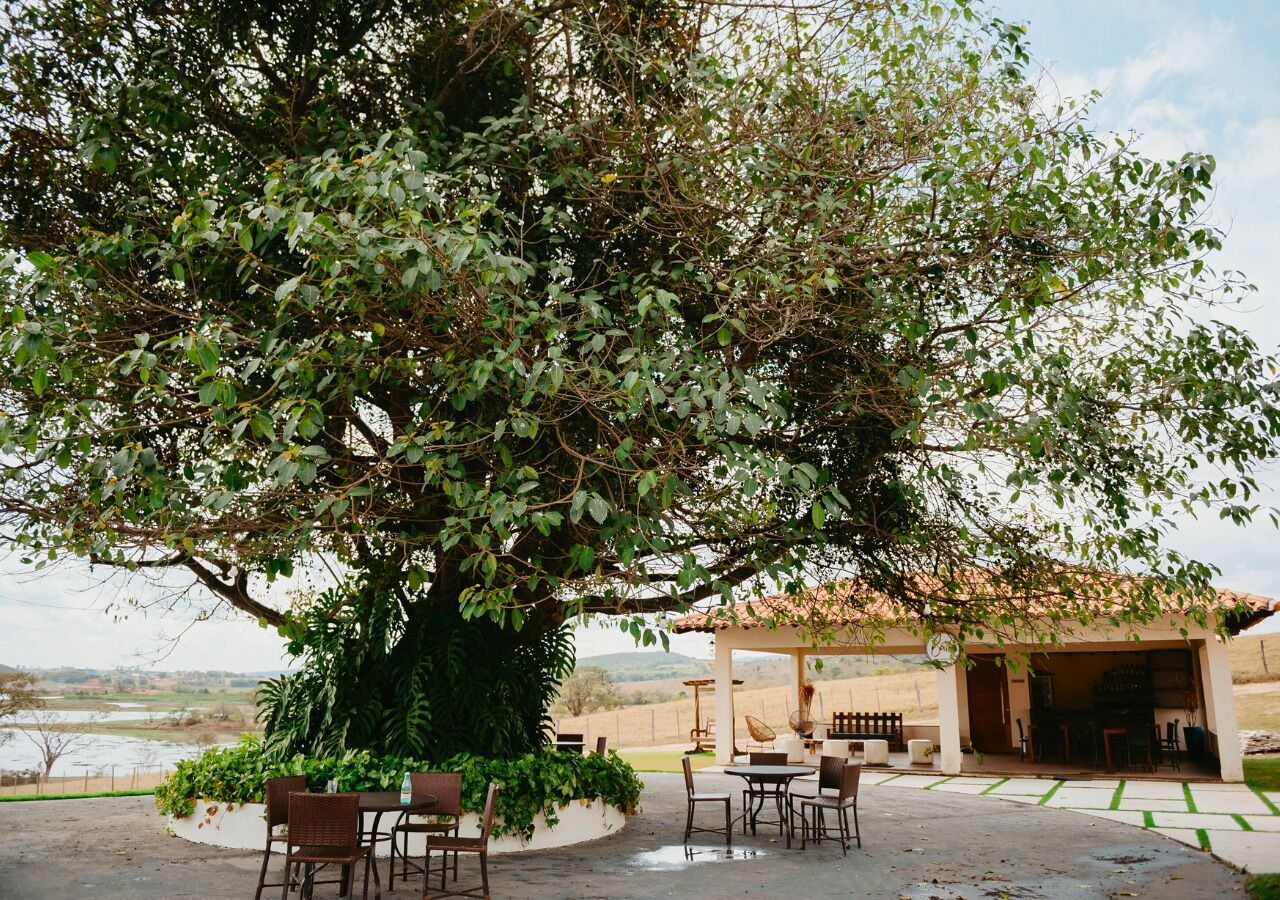 An outdoor patio with tables and chairs, a pergola, and a view of a rural landscape.