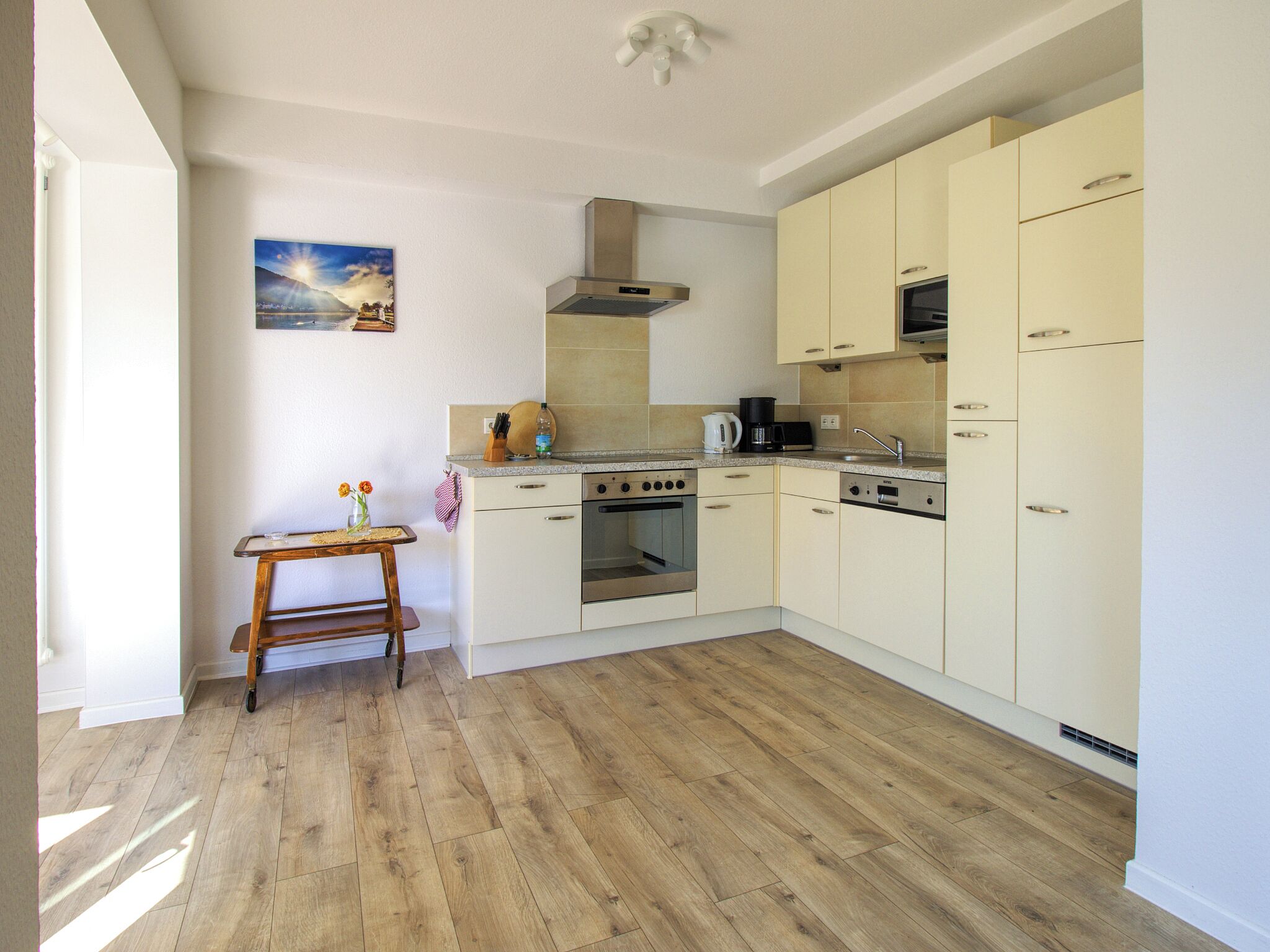 Kühlschrank, Mikrowelle, Herdplatte, Geschirrspüler