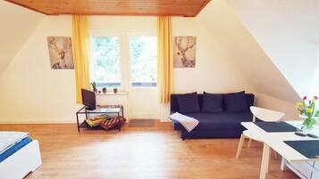 Fernseher