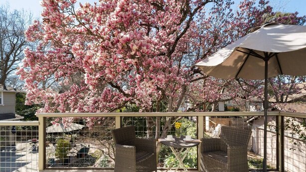 Une terrasse dotée de meubles en osier et d’une table dressée pour deux personnes, entourée d’une clôture en métal et d’un grand arbre en fleurs.