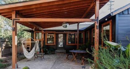 | The Jungle Bungalow | Downtown Chico |