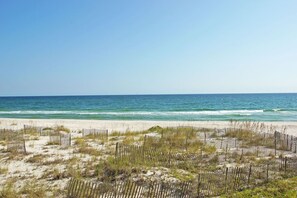 A beach with a wooden fence and sparse vegetation in the foreground.
