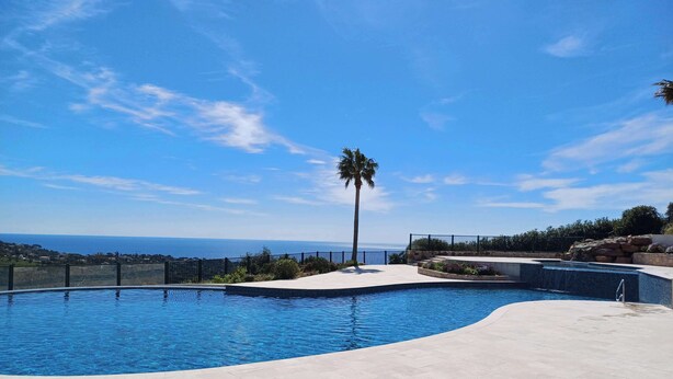 Una piscina amb vora corbada, una palmera i vista a l'oceà.
